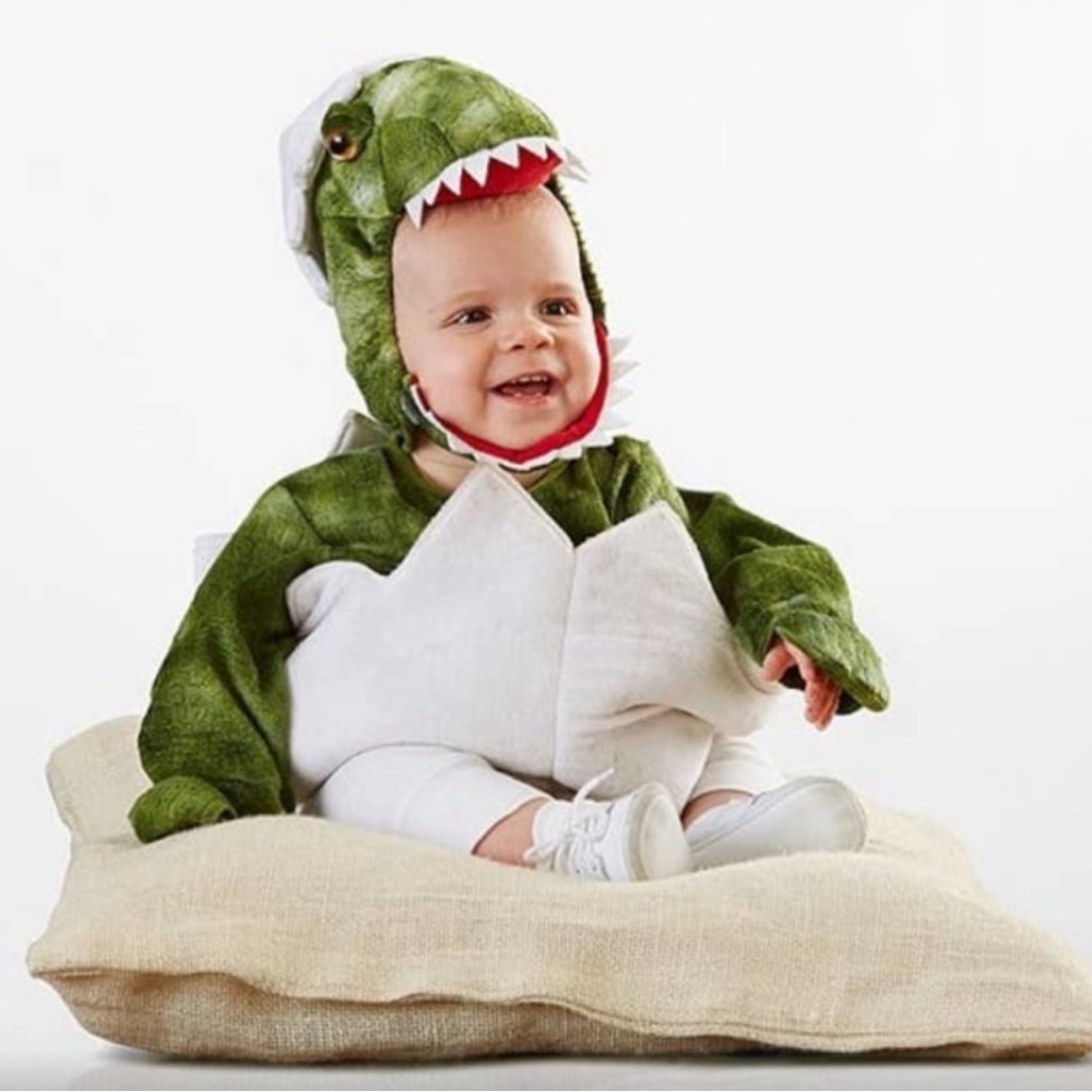 Pottery Barn Kids Baby Dino Egg Costume - NWT